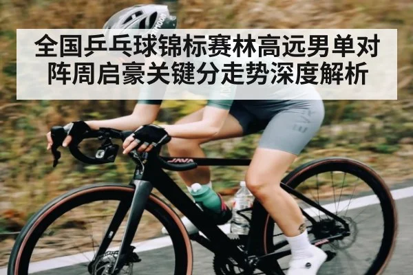 全国乒乓球锦标赛林高远男单对阵周启豪关键分走势深度解析